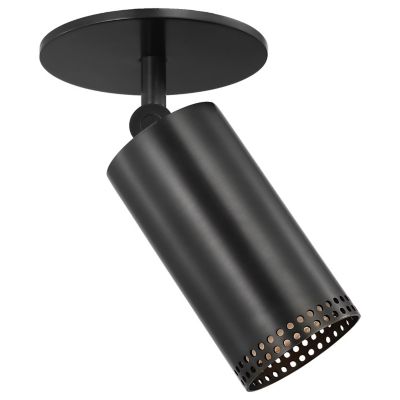 Precision LED Directional Monopoint Flushmount