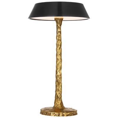 Ilosi Sculpted Rechargeable LED Table Lamp