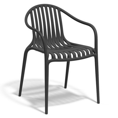 Palm Indoor/Outdoor Chair, Set of 4