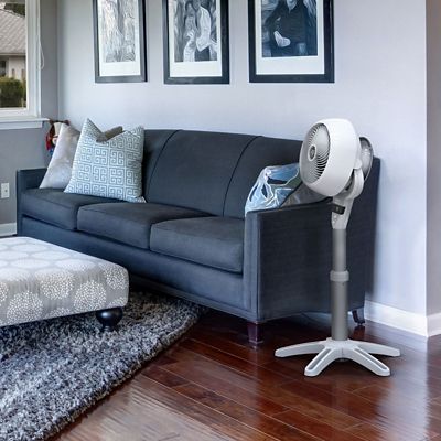Energy Smart Pedestal Floor Fan by Vornado at