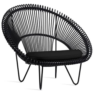 Roy Cocoon Outdoor Chair