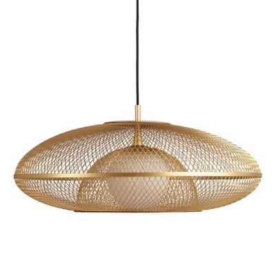 Faraday Pendant