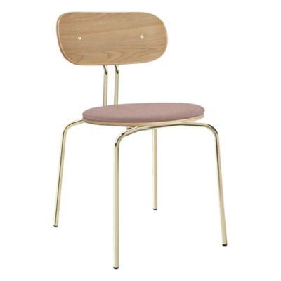 Curious Oak Dining Chair