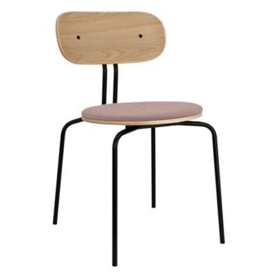 Curious Oak Dining Chair