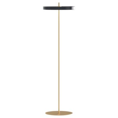 Asteria LED Floor Lamp (Anthracite Grey) - OPEN BOX