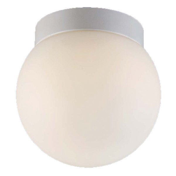 Niveous LED Outdoor Flushmount/Wall Sconce