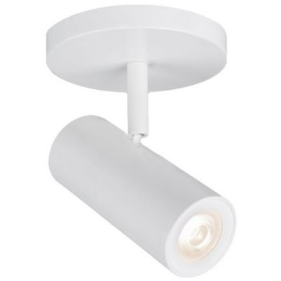 buy ceiling spotlights