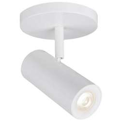 Adjustable And Directional Ceiling Spotlights Lumens