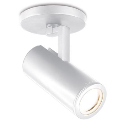 Paloma LED Adjustable Spotlight