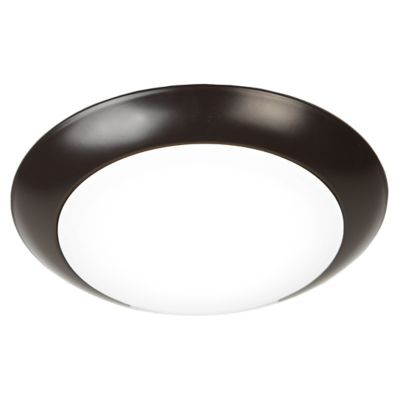 Disc LED Wall Sconce/Flushmount