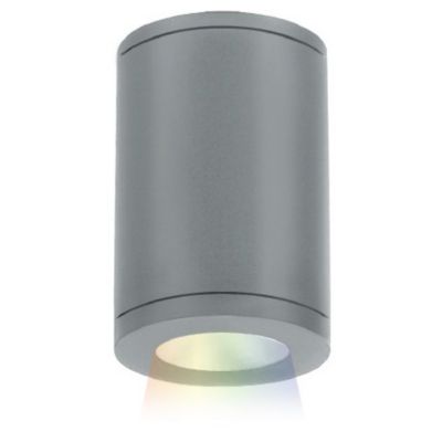 Tube Architectural 5-Inch Color Changing Ceiling Mount