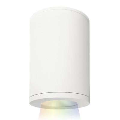 Tube Architectural 5-Inch Color Changing Ceiling Mount