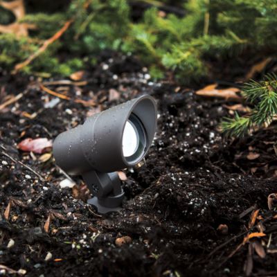 LED 12V Accent Light