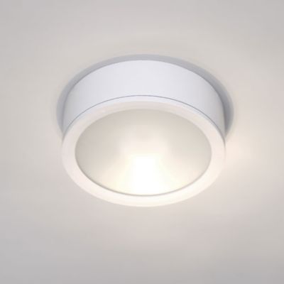 Tube Indoor/Outdoor LED Ceiling Light(White)-OPEN BOX RETURN