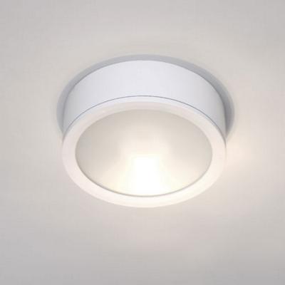 Tube Indoor/Outdoor LED Ceiling Light(White)-OPEN BOX RETURN