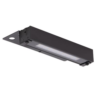 Colorscaping Outdoor 12V LED Step Light