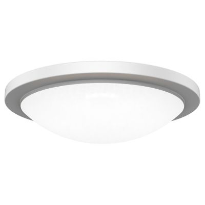 Dew LED Wall / Flushmount