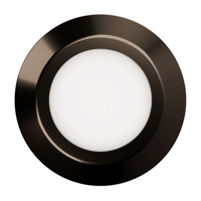 Surface Mount 2 Inch Indoor/Outdoor LED Light