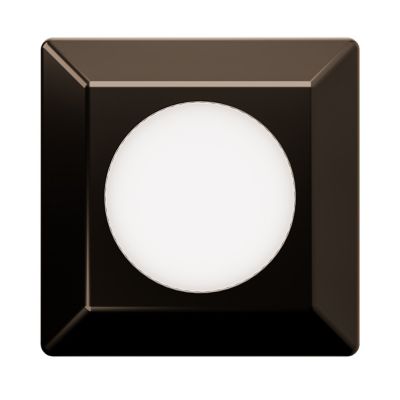Surface Mount 2 Inch Square Indoor/Outdoor LED Light