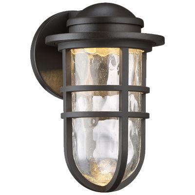 Steampunk LED Indoor/Outdoor Wall Sconce