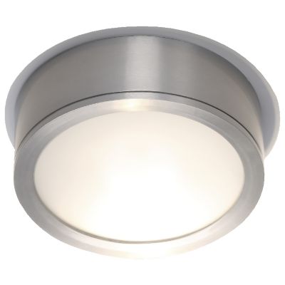 Tube Indoor/Outdoor Flush Mount