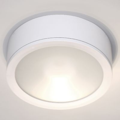 Tube Indoor/Outdoor Flush Mount