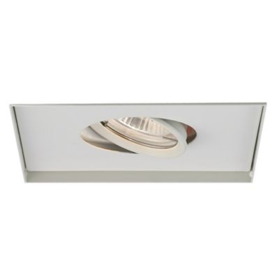 Single Light LED Multispot Trim