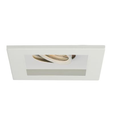Single Light LED Multispot Trim