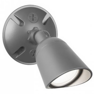 Endurance Single Spot Outdoor Light