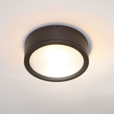 Tube Indoor/Outdoor LED Ceiling Light