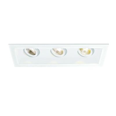 flydende bleg Optage Mini LED 3 Light Recessed Multiple Spot Light Kit by WAC Lighting at  Lumens.com