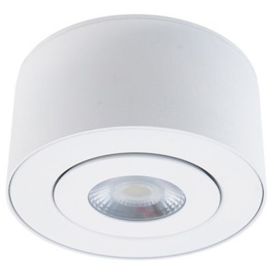 Dallas LED Outdoor Flushmount