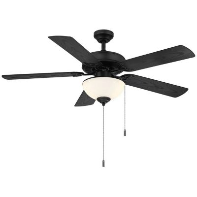 Dalon Indoor/Outdoor LED Ceiling