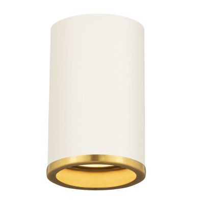 Armstrong Flushmount