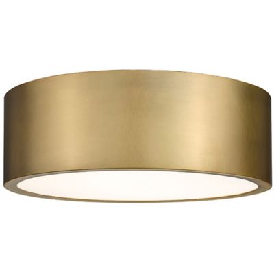 Hanes Flushmount