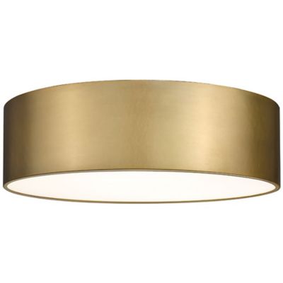 Hanes Flushmount