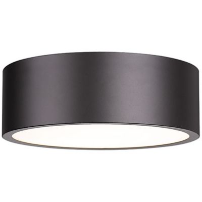 Hanes Flushmount