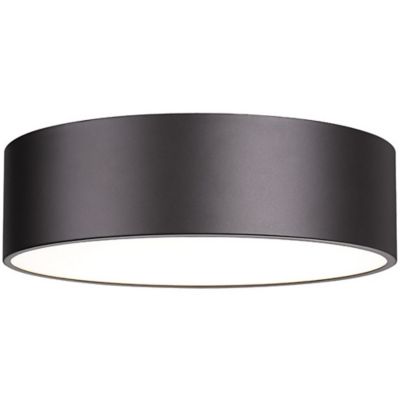 Hanes Flushmount