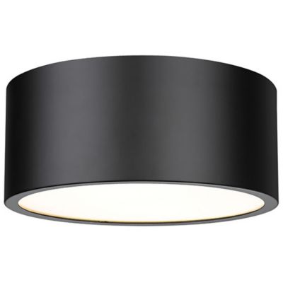 Hanes Flushmount