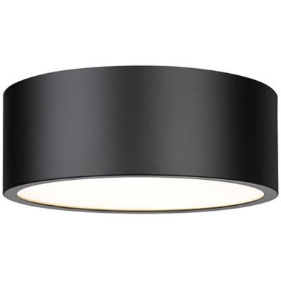 Hanes Flushmount