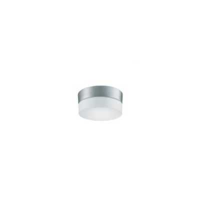 Flan Ceiling / Wall Light