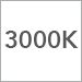 3000