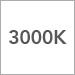 3000