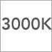 3000