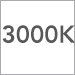 3000