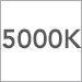 5000
