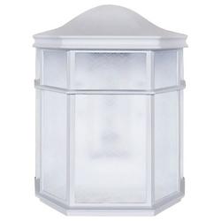 Alexa LED White Outdoor Wall Sconce