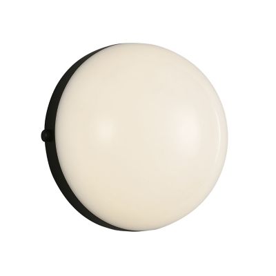 Globo LED Wall Sconce