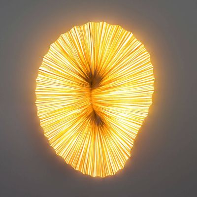 Aqua Creations Coral LED Wall/Ceiling Light - Color: Yellow - Coral_Curry