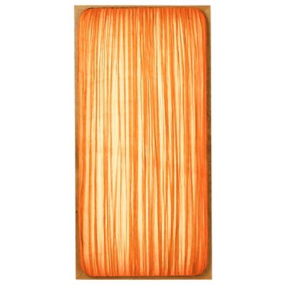 Aqua Creations Simon Says Maybe Wall / Flushmount Light - Color: Orange - S